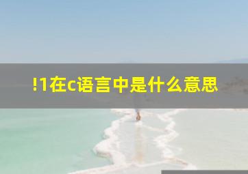 !1在c语言中是什么意思