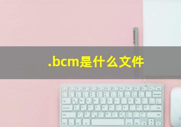 .bcm是什么文件