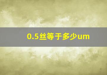 0.5丝等于多少um