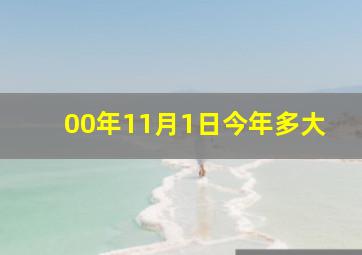 00年11月1日今年多大