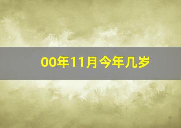 00年11月今年几岁