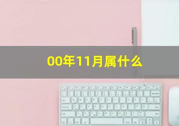 00年11月属什么