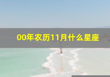 00年农历11月什么星座