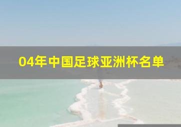 04年中国足球亚洲杯名单