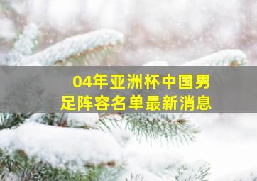 04年亚洲杯中国男足阵容名单最新消息