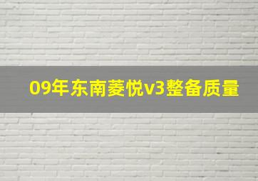 09年东南菱悦v3整备质量