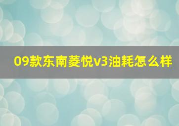 09款东南菱悦v3油耗怎么样