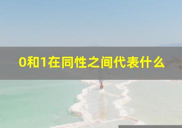 0和1在同性之间代表什么