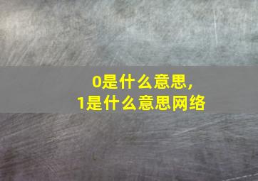 0是什么意思,1是什么意思网络