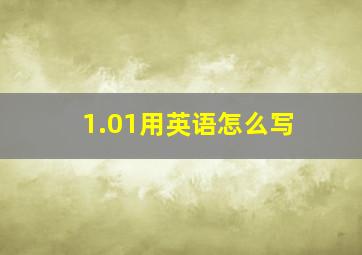 1.01用英语怎么写