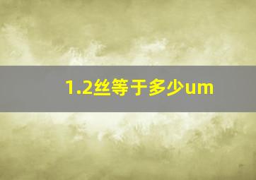 1.2丝等于多少um