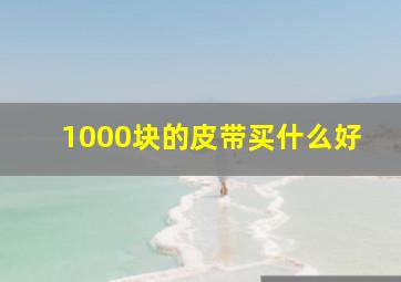 1000块的皮带买什么好