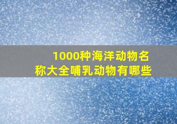 1000种海洋动物名称大全哺乳动物有哪些