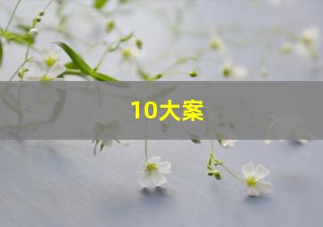 10大案