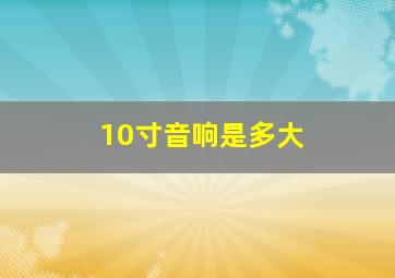 10寸音响是多大