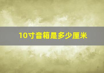 10寸音箱是多少厘米