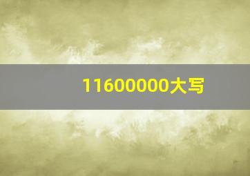 11600000大写