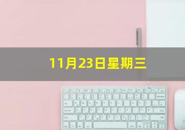 11月23日星期三