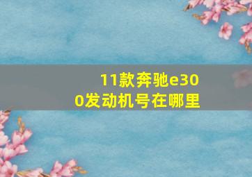 11款奔驰e300发动机号在哪里