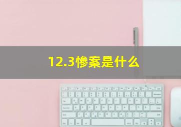 12.3惨案是什么