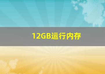 12GB运行内存