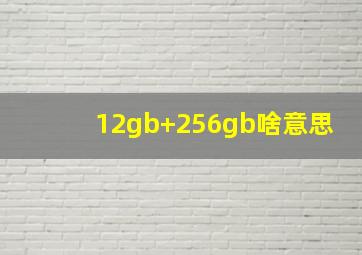 12gb+256gb啥意思