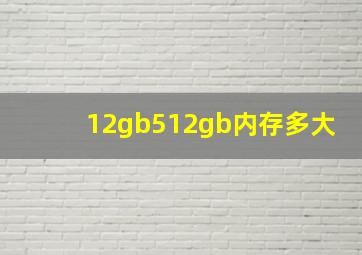 12gb512gb内存多大