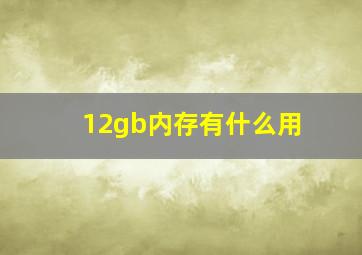 12gb内存有什么用