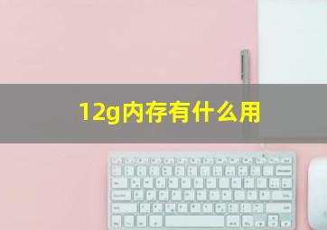 12g内存有什么用