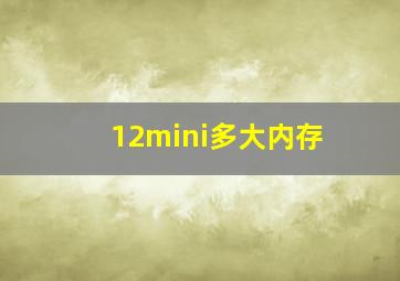 12mini多大内存