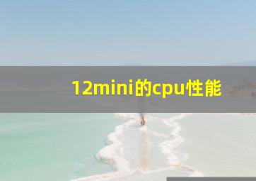 12mini的cpu性能