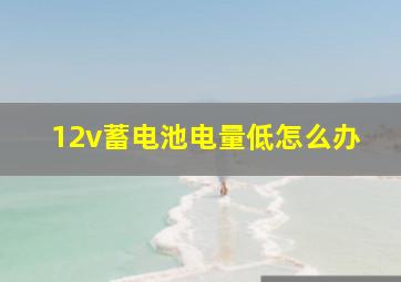 12v蓄电池电量低怎么办