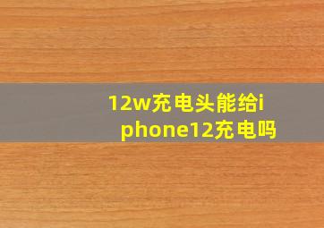 12w充电头能给iphone12充电吗