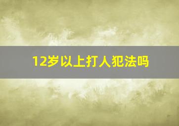 12岁以上打人犯法吗