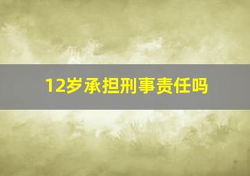 12岁承担刑事责任吗