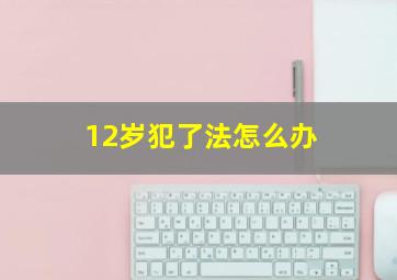 12岁犯了法怎么办