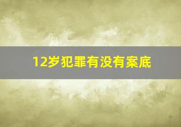 12岁犯罪有没有案底