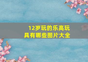 12岁玩的乐高玩具有哪些图片大全