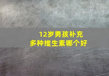 12岁男孩补充多种维生素哪个好