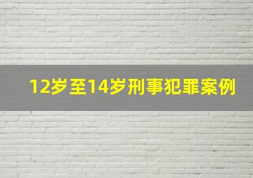 12岁至14岁刑事犯罪案例