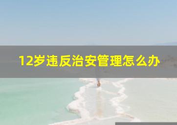 12岁违反治安管理怎么办