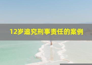 12岁追究刑事责任的案例