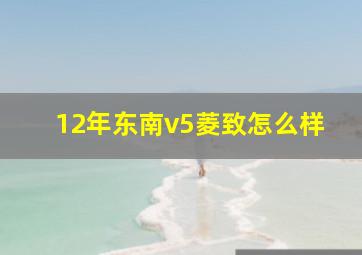 12年东南v5菱致怎么样