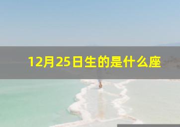 12月25日生的是什么座