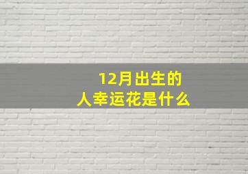 12月出生的人幸运花是什么