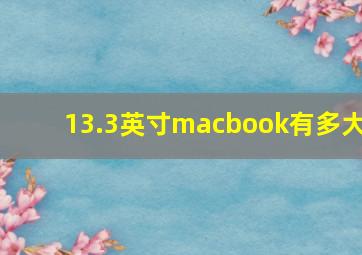 13.3英寸macbook有多大