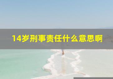 14岁刑事责任什么意思啊