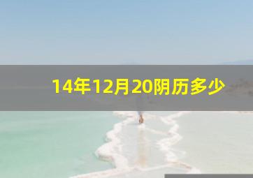 14年12月20阴历多少