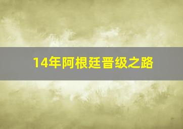 14年阿根廷晋级之路