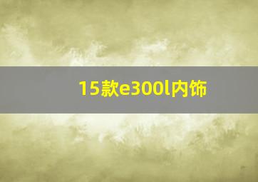 15款e300l内饰